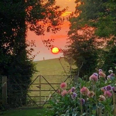 免费pg电子游戏