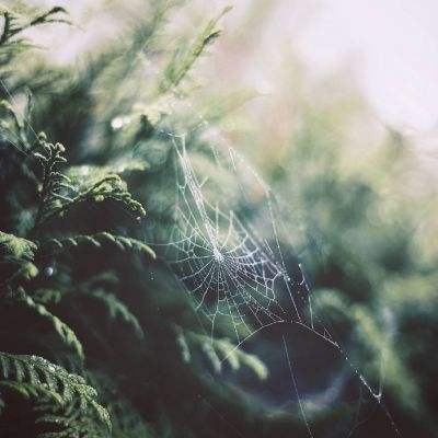 beat365官方最新版